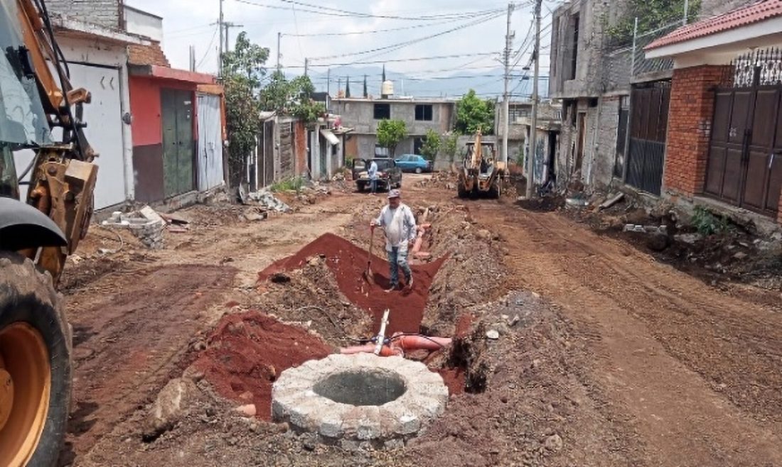 Pavimentación con redes — vista 4